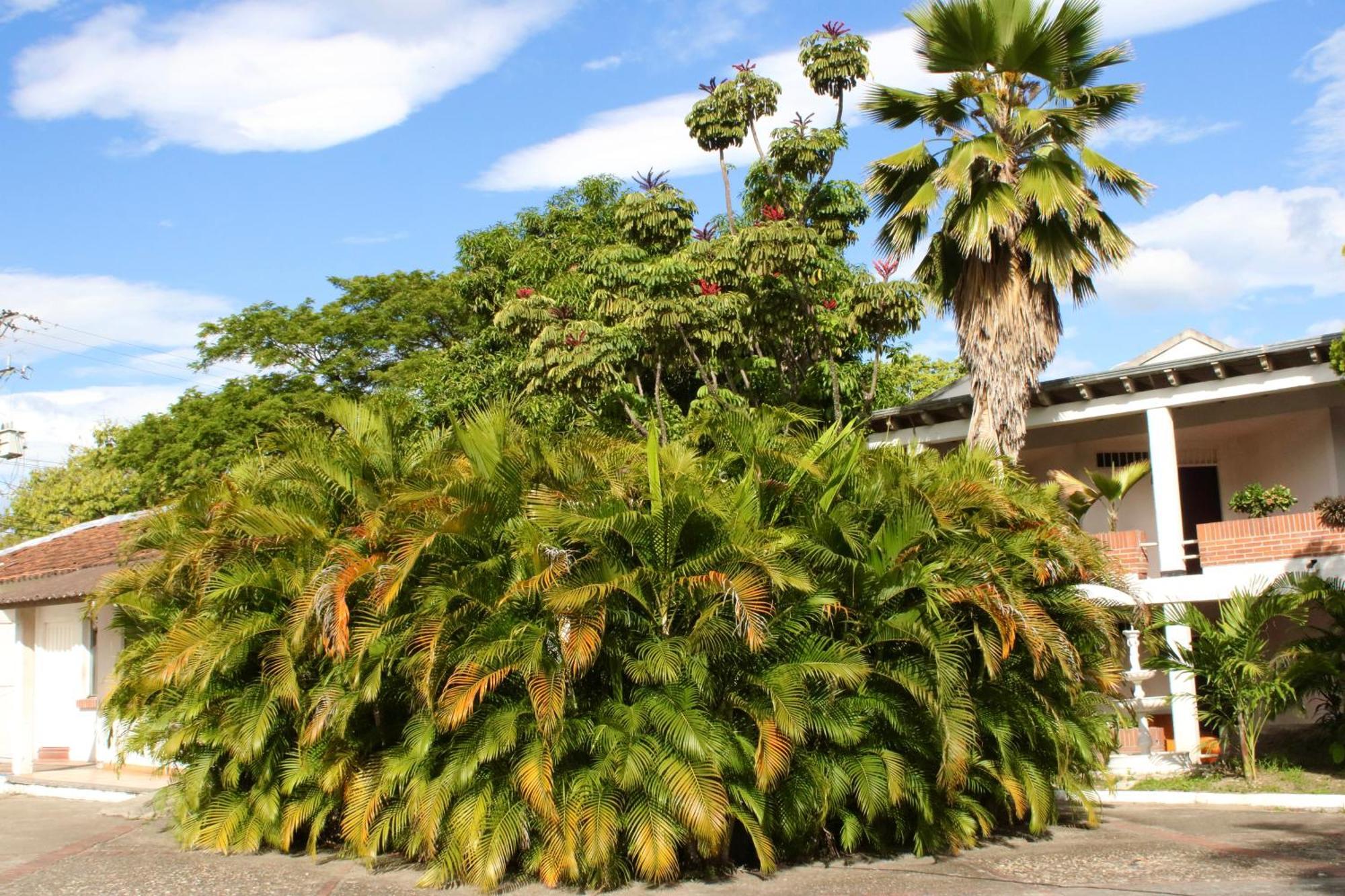 Hotel Mar Azul Neiva Neiva  Esterno foto